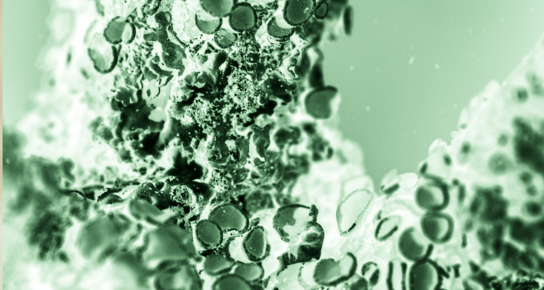 Semaglutide vs. Tirzepatide: Unveiling the Differences